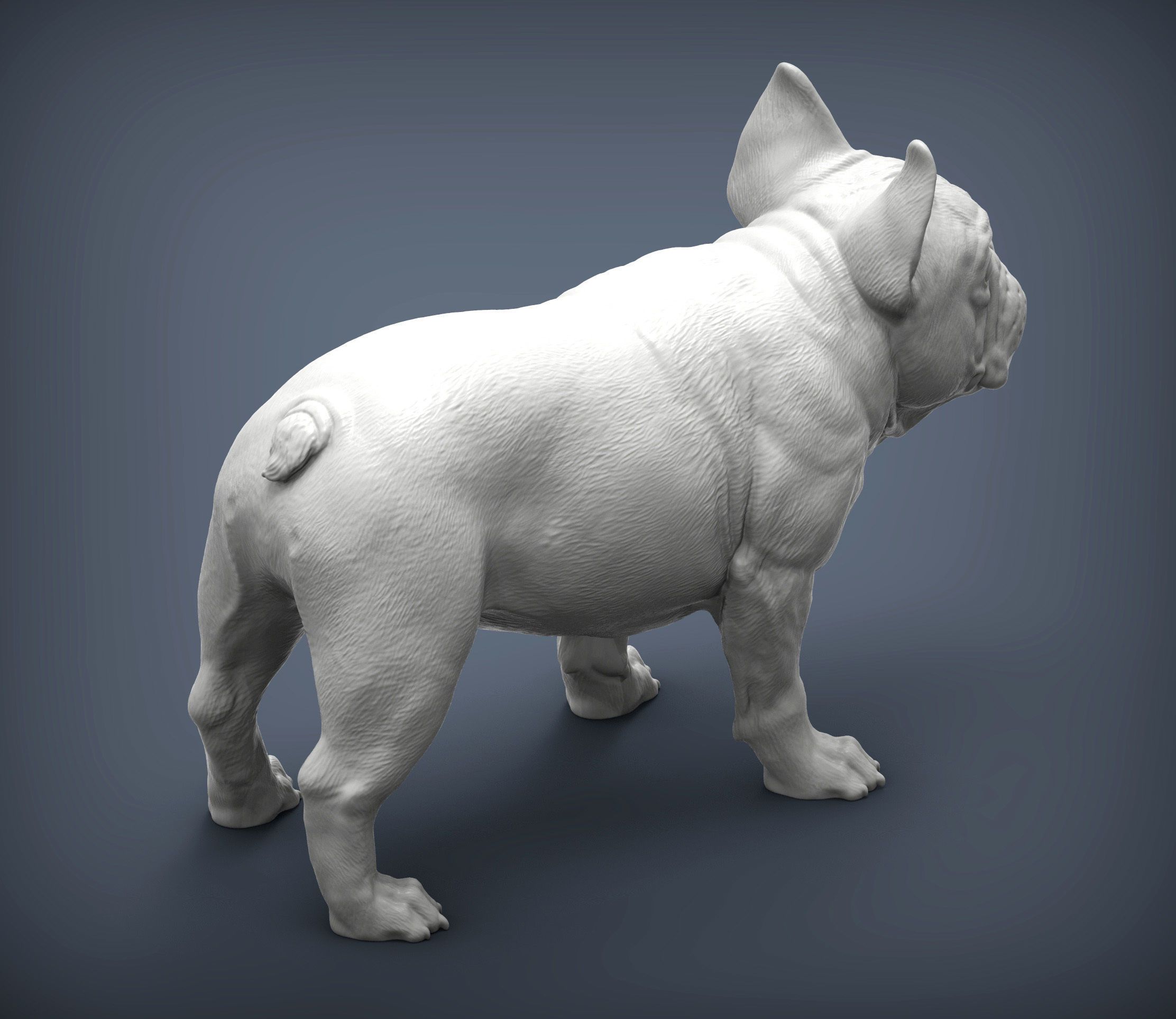 french-bulldog-7.jpg Archivo 3D Modelo de impresión en 3D de un Bulldog Francés・Objeto imprimible en 3D para descargar, akuzmenko
