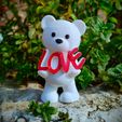 IMG_20240205_084711434_HDR.jpg Valentine's Special - Teddy Bear Love