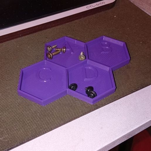 Organizador para piezas pequeñas, tornillos, trabajos meticulosos 3D model