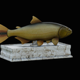 golden-dorado-statue-box-1-9.png fish golden dorado / Salminus brasiliensis with storage space / for 3d printing