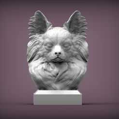 papillon-head1.jpg busto de papillon modelo impreso en 3D