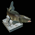 zander-trophy-19.png zander / pikeperch / Sander lucioperca fish in motion trophy statue detailed texture for 3d printing
