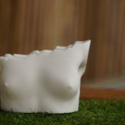 DSC06333.jpg STL file Sculpture flower pot・3D printable model to download