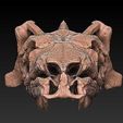 titan-bowa-skull-with-jaw-3d-model-stl-1.jpg Crâne Titan Bowa avec mâchoire