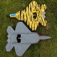 Top-and-Bottom-View.jpg F-22 Park Flying Pusher