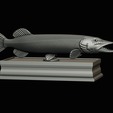 northern-pike-statue-box-1-2-1-28.png fish NORTHERN PIKE (ESOX LUCIUS) open mouth with storage space / for 3d printing