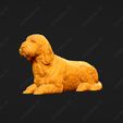 1057-Basset_Griffon_Vendeen_Petit_Pose_07.jpg Basset Griffon Vendeen Petit Dog 3D Print Model Pose 07