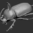ScreenShot01.jpg STL-Datei Eupatorus Birmanicus kostenlos・3D-Drucker-Design zum herunterladen