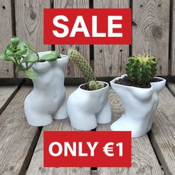 W a = eo AAD pe] STL-Datei SALE !!! große Titten und Beute Frau Töpfe Pflanzer・Design für den 3D-Druck zum Herunterladen