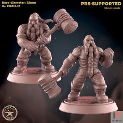 230522-23-Dwarf_Paladin.jpg Файл 3D Гном Паладин низкого уровня Две модели・Идея 3D-печати для скачивания