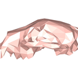 model-2.png Wolf skull low poly