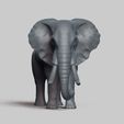 R01.jpg african elephant pose 02