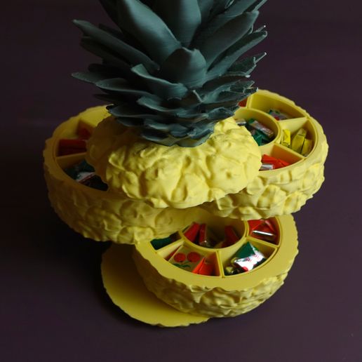 05.jpg Ananas en tranches