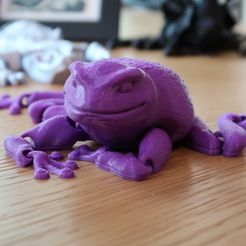 IMG_0099-1.jpg Free STL file Flexi Toad・3D printer design to download