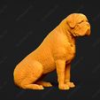 3047-Bullmastiff_Pose_06.jpg Bullmastiff Dog 3D Print Model Pose 06