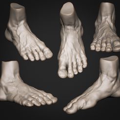 ZBrush-Document.jpg Foot Anatomy