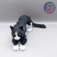 403420587_911752903304705_3603732601681486451_n.jpg Flexi Cat, Print-in-Place, Articulated Kitty