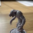 IMG_5376.jpg WereWolf - STl File