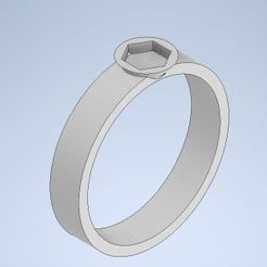 anillo.jpg interleaving ring