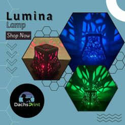 1.jpg Lampe Lumina