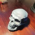 3D-PRINTED-skull.jpg Skull of Human 3D Model