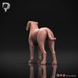 Boxer-Pose-02-Dog-3D-Print-6s.jpeg Chien Boxer Modèle imprimé en 3D Pose 02