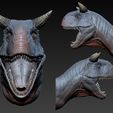 02.jpg Carnotaurus  Head