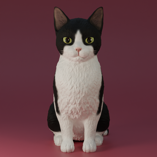 gato_negro_blanco.png Figura Gato Sentado