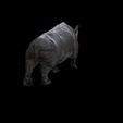 2.jpg Rhino Walk ANIMATED