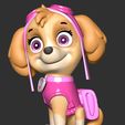 2_1.jpg Skye - Paw Patrol