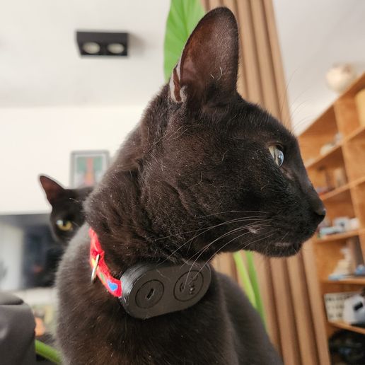 IMG-20251020-WA0065.jpg Etui Samsung SmartTag2 - Funda protectora para llaves, mascotas y gatos / SmartTag2 Cat & Pet Case