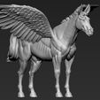 03.jpg Pegasus