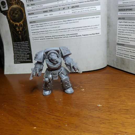 PXL_20210407_015856497.jpg Tyberos die Rote Totenwache