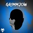 GRIM_COVER.jpg Grimmjow Mask File, Bleach Anime