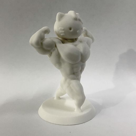 511AD4B1-E13D-4986-A937-1325FF8DDEBF.jpeg Hello kitty swole body