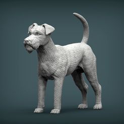 Irish-Terrier1.jpg 3D file Irish Terrier 3D print model・3D printer design to download, akuzmenko