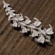 _DSF6865.jpg Dragon's spine