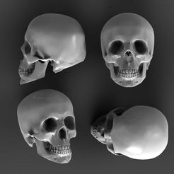 skull-3.jpg Fichier STL crâne・Plan pour imprimante 3D à télécharger, ExplorerPaydi