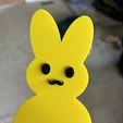 IMG_3602.jpeg Easter Peep Mustache  Bunny Decor Icon