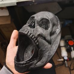 WhatsApp-Image-2021-07-20-at-4.26.28-AM.jpeg Fichier STL Vase tête de mort・Objet pour impression 3D à télécharger