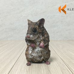 ham04.jpg hamster 3d printed model