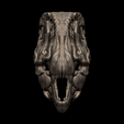 4.png 3D-печатная модель черепа кархародонтозавра