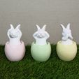 1678622807015.jpg See Nothing, Hear Nothing, Say Nothing Easter Bunny