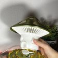 IMG_1814.jpg The Magic Mushroom Lamp!