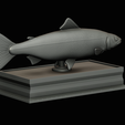 Salmon-statue-box-1-37.png fish sculpture of a Atlantic salmon / salmo salar with storage space / for 3d printing