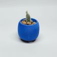 DSC_0236.jpg Wave - small pot for cactus