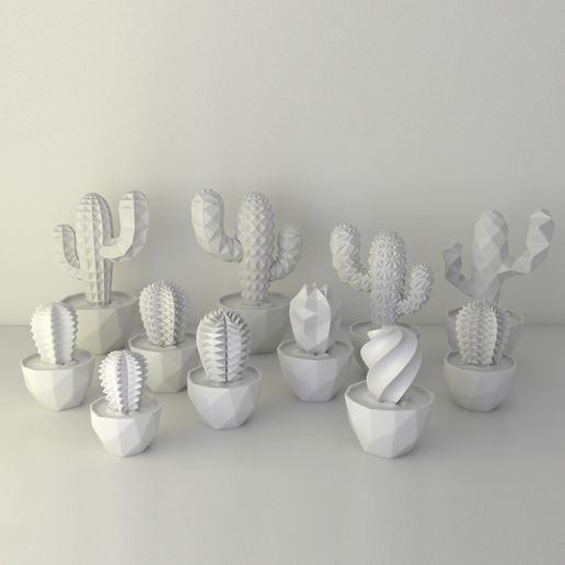 VECTARY succulent family