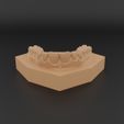 untitledj.jpg Modelo de estudo ortodôntico dentário com bases