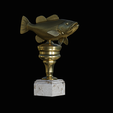 peacock-bass-trophy-3-1-2-5.png Peacock bass (Cichla ocellaris) fish trophy cup 2 for 3d printing