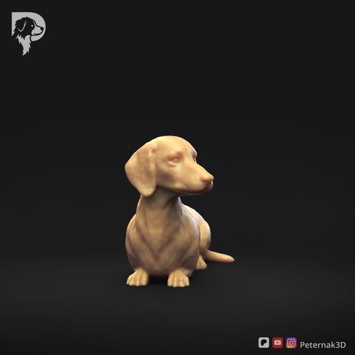 Dachshund-Smooth-Haired-Pose-09-Dog-3D-Print-1s.jpeg Teckel à poil lisse Pose 09